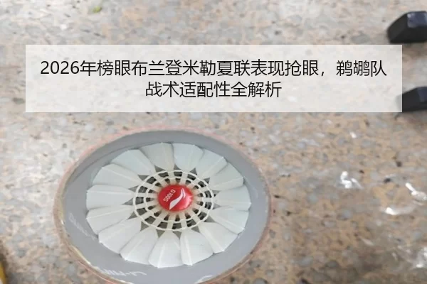2026年榜眼布兰登米勒夏联表现抢眼，鹈鹕队战术适配性全解析